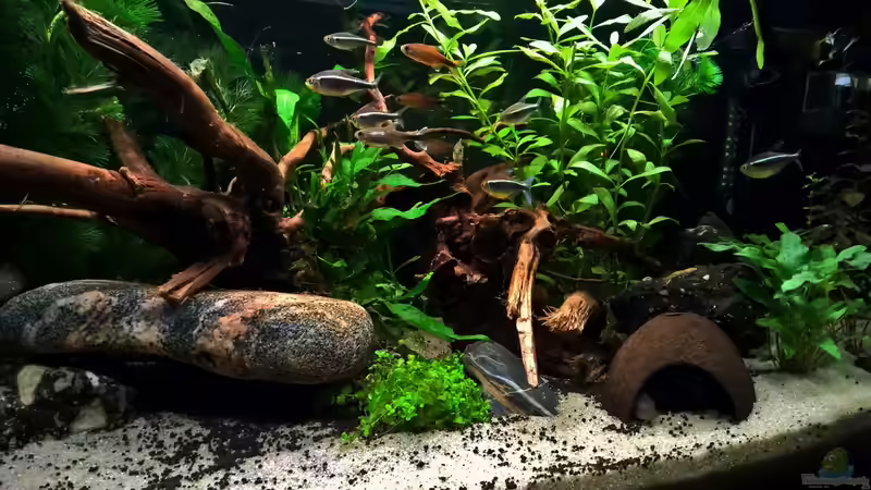 ~Kakadus river~ von Martin L. (2)