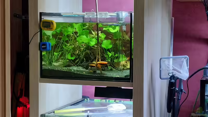 Kalax gleich daneben von ErfurtOldy (4)