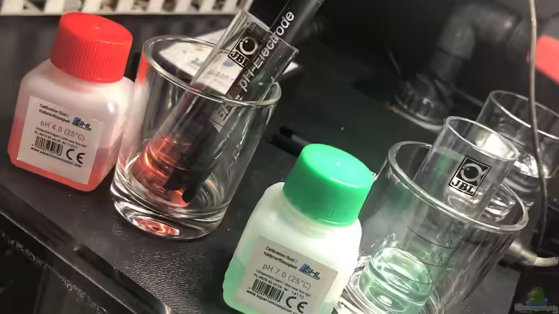 Kalibrierung von DiskusMummy (29)