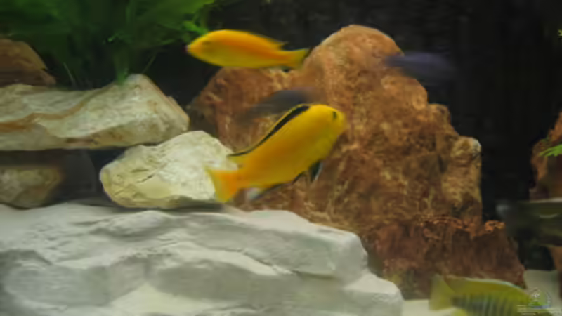 Kalksandgestein u. Kunststoff Felsenhöhle von Vicky Gröbl (15)