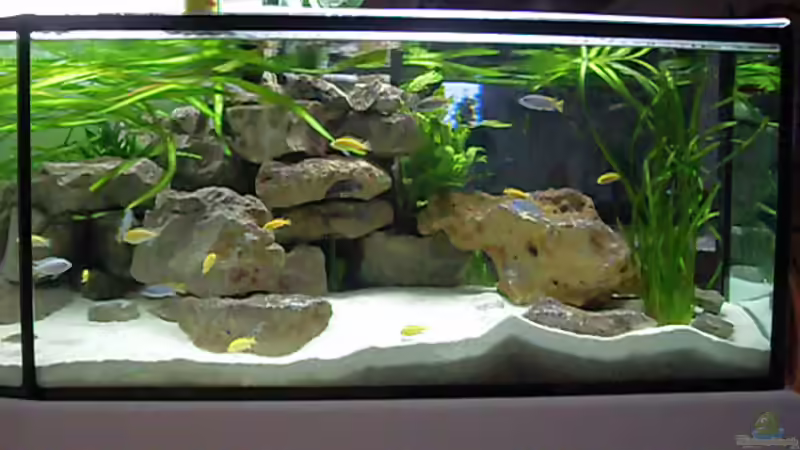 Kalksandsteine ( eine Kofferraumladung ) von Mats (28)