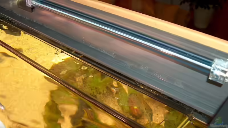 Kaltlichtkathode von Daniel Nimmervoll (12)