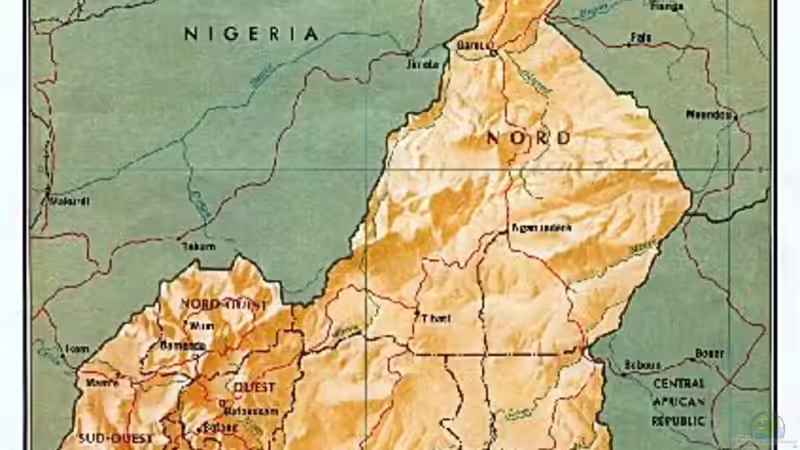 Kamerun von Didi (18)