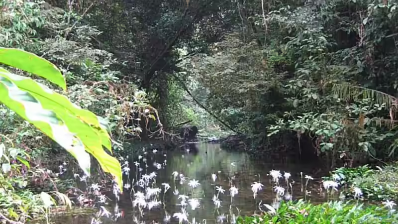 Kamerun03 von Tosche (7)