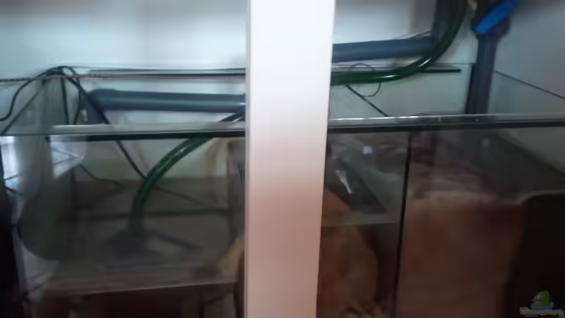 Kammer Bio-Filter mit Pumpe und Heizstab von prerow (10)