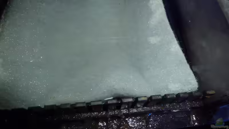 Kammfilter, Schaumstoffmatte fein, darunter Schaumstoffwürfel von Couro (38)