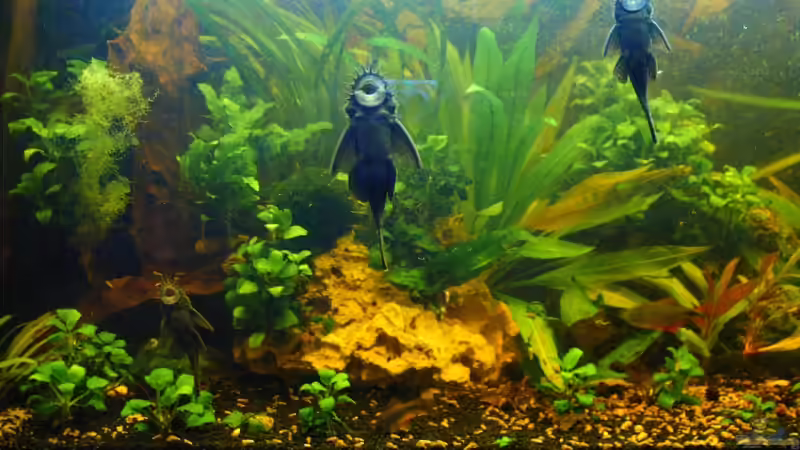 Kampfgeschwader von Lee Kienle (30)