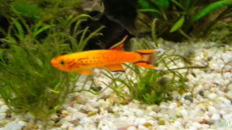 Kann mir jemand den Namen  schreiben von Kai Holdinghausen (35)