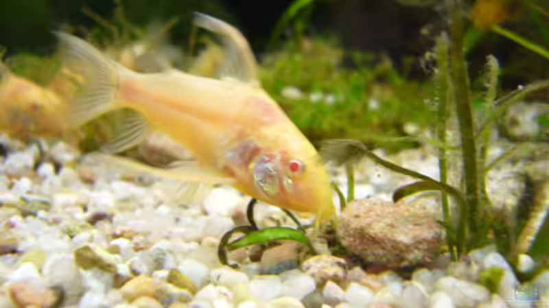 Kann mir jemand den Namen  schreiben von Kai Holdinghausen (36)