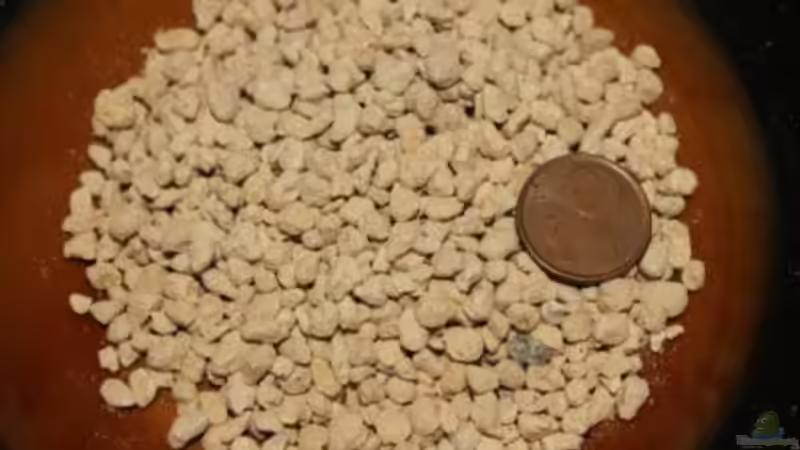 Kanuma von lomarraco (43)