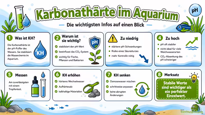 Karbonathärte im Aquarium: Bedeutung, Messung und richtige Einstellung
