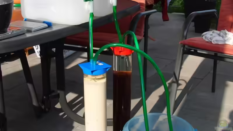 Kati+Ani beim regenerieren von Microsash (26)