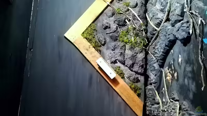 Kellertür mit Dekoration  von Bermuda 3eck (26)