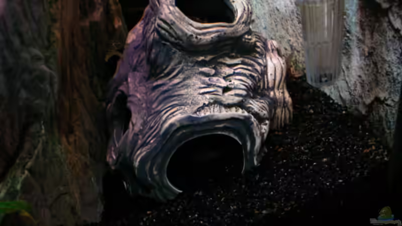 Keramikhöhle von Dirk Linke (14)