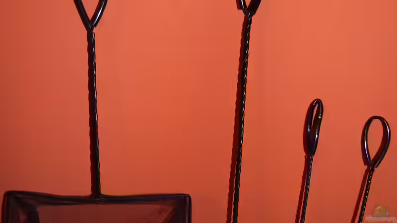 Kescher - Set von Dieter (63)