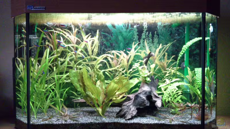 Kessel Buntes ^^ von Stephan Groß (1)