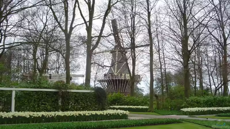Keukenhof - Niederlande für Garten- und Naturliebhaber: Ein Paradies in Farben