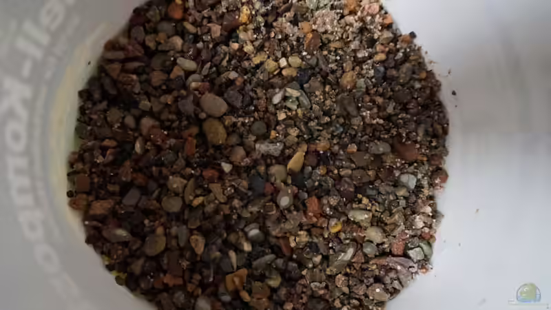 Kies bis max. 8mm von andreas32 (22)