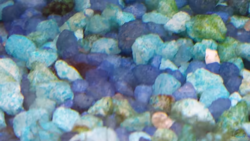 Kies von mamo2000 (25)