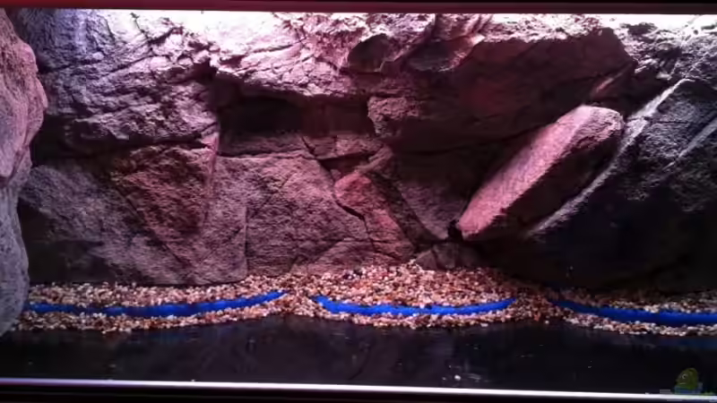 Kies vor der Rückwand  von TheToxicAvenger (12)