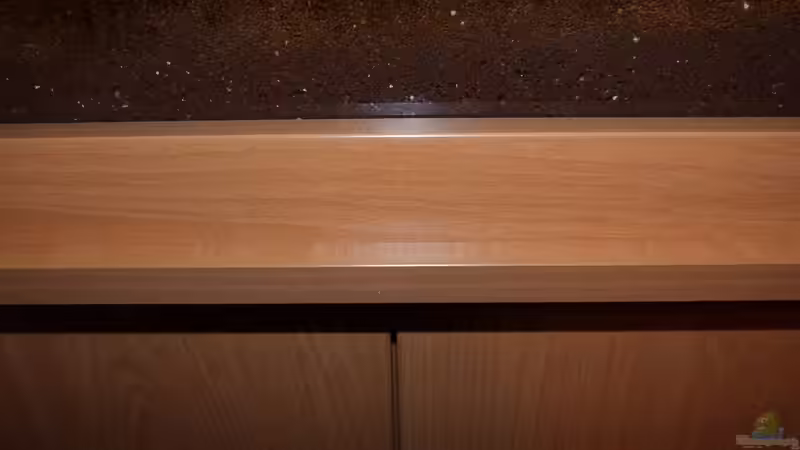 Kiesblende: Deswegen lieben Aquarianer das Dekoelement