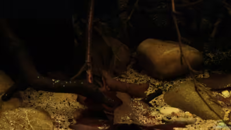 Kiesel in verschiedenen Größen von die Perle... (32)