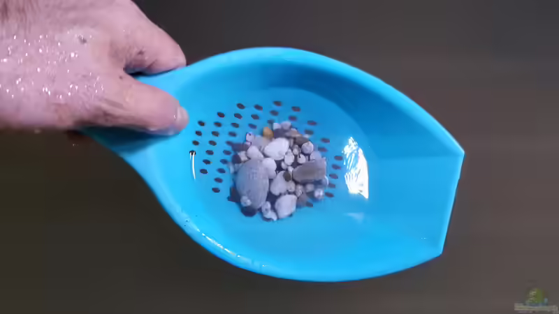 Kiesel,Muscheln und Schneckenhäuser von Florian Bandhauer (58)