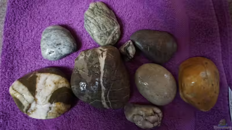 Kieselsteine - Der Größte hat ca.10cm von andreas32 (21)