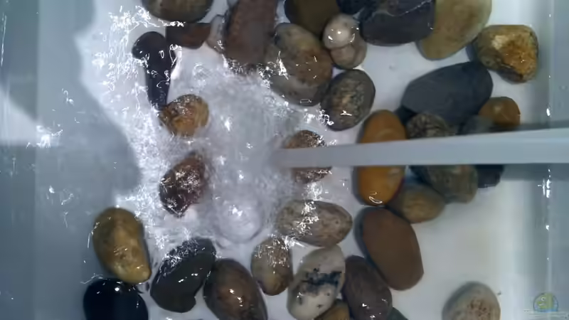 Kieselsteine von linlan (4)