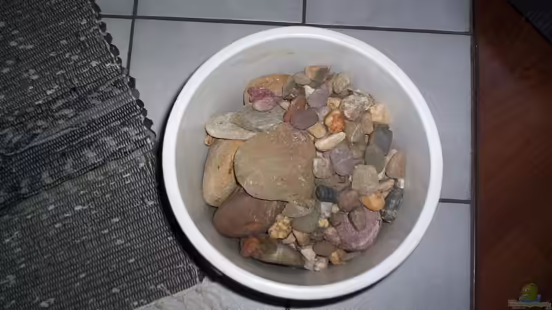 Kieselsteine zur Dekoration von Didi (32)