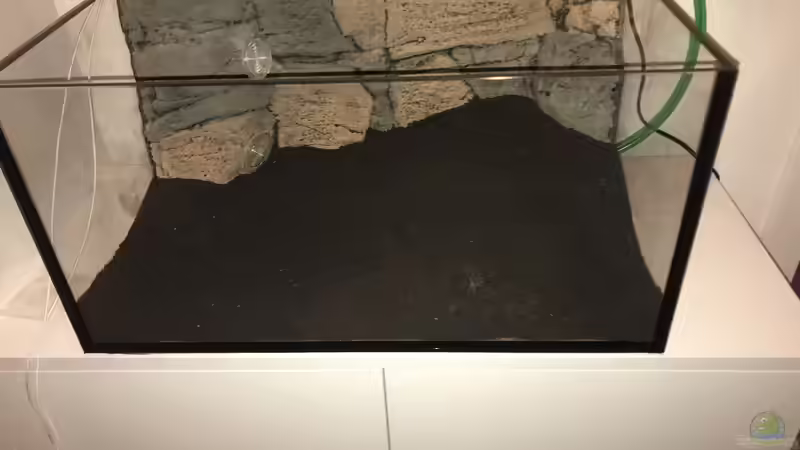 Kiesschicht von Tim1979 (9)