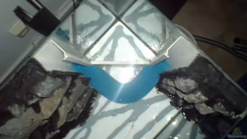 Kiesschutz von oben von Newbie (32)