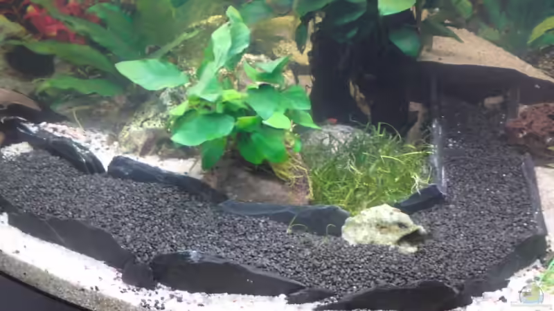 Kiesstraße von Alexander Engel (3)