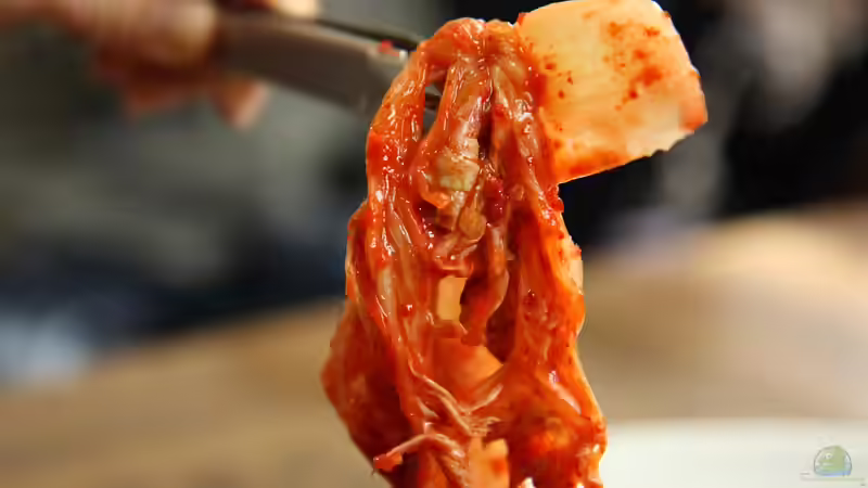 Kimchi selbst machen - der große, ausführliche Guide