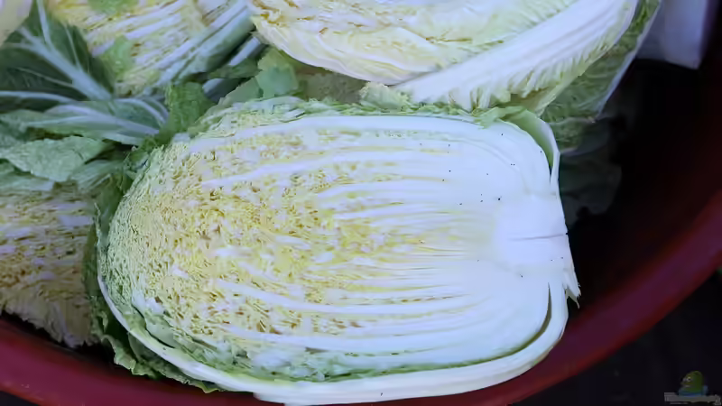 Kimchi selbst machen - der große, ausführliche Guide