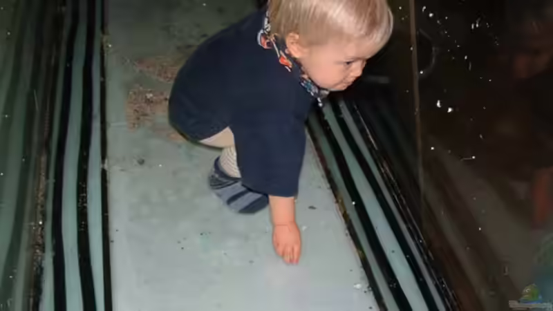 Kind im Aquarium ( natürlich vor dem Fluten;-) ) von fejul (2)