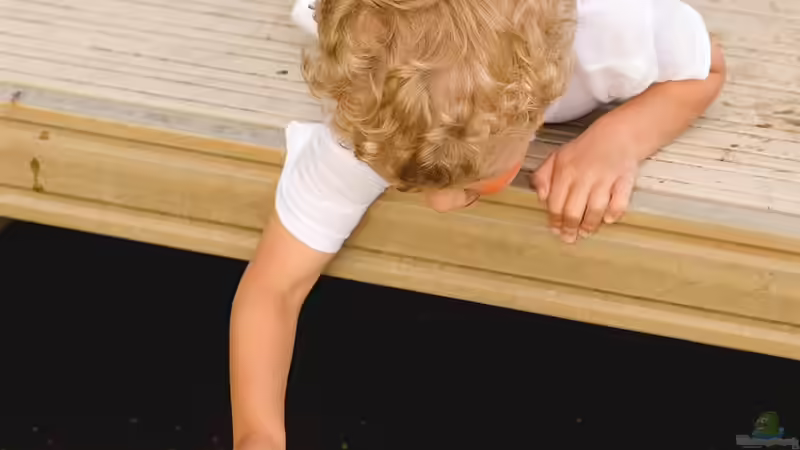Kinder am Teich – Gefahren und Regeln