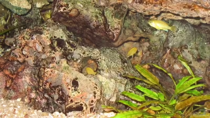 Kindergarten von Harald Gröner (7)