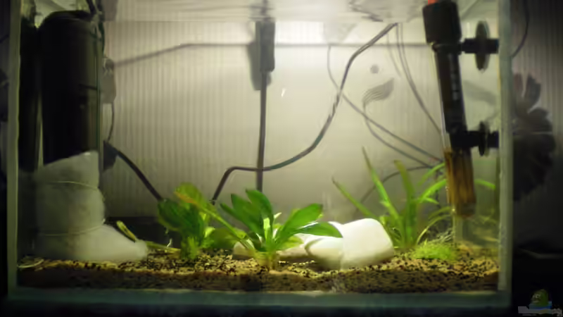 Kinderstube von Falk Bellmann (38)