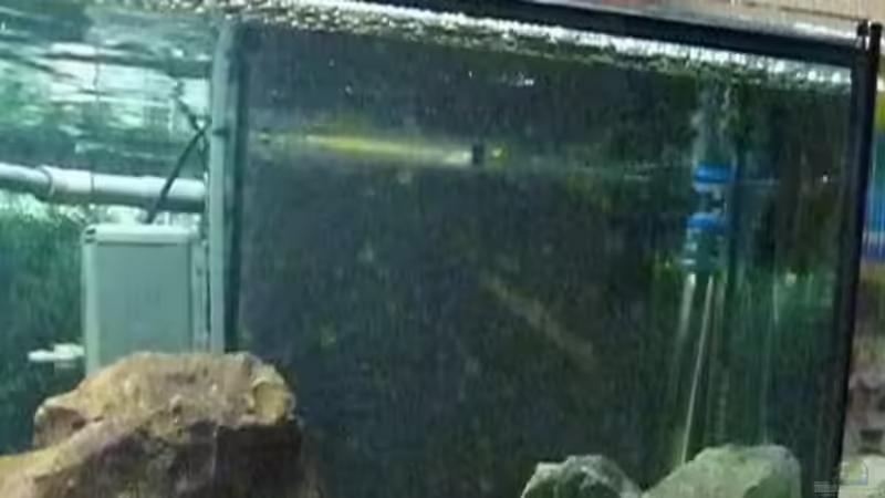 kl. Ausschnitt Technik von roofer112 (5)