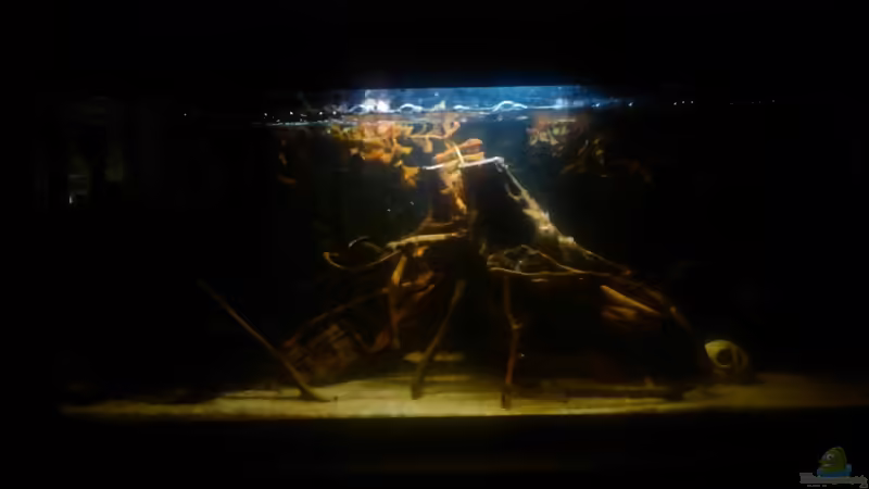 kl.Urwaldbach2 von Zugbremser72 (3)