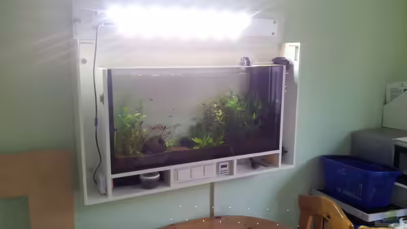 Klappe ganz aufgestellt von The BugZ (8)