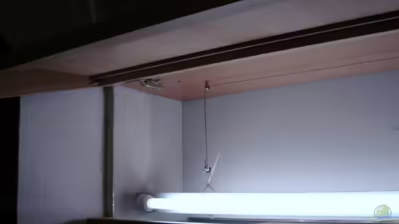 Klappe geht weit auf und ist ohne weiteres auch abnehmbar von Zwanni (30)