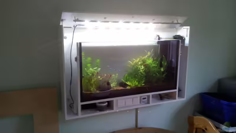 Klappe halb aufgestellt von The BugZ (7)