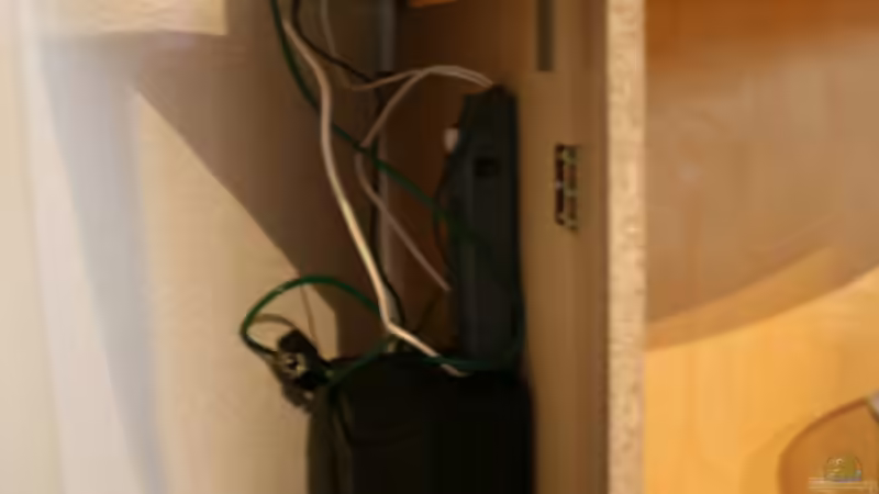 Klappe war ein Bonde Einlegeboden von bull70 (7)