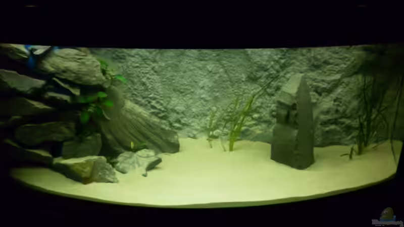 Klare Sicht von Julien Preuß (17)