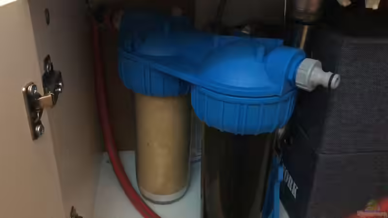 Klares Wasser ohne Chemie - 7 TIPPS