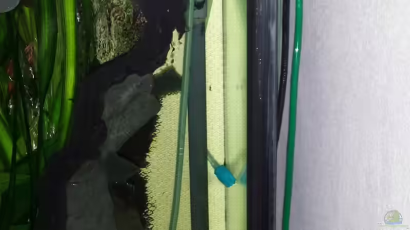 Klarwasser-Kammer mit Einläufen von der 1. Filterkammer von Andy Weiss (24)