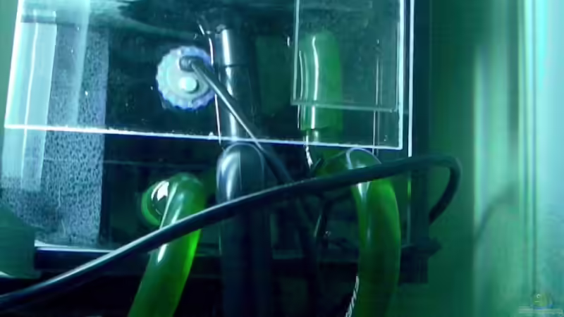 Klarwasser und Technikkammer vom eingeklebtem kammerfilter von Michael Geigel (14)