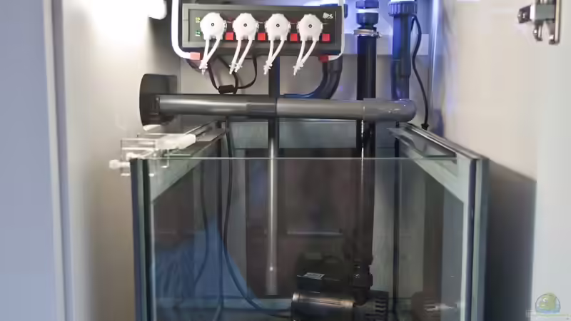 Klarwasserbecken und Dosierpumpensteuerung von MH (16)